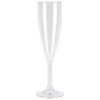 Hot Tub Safe Clear Champagne Glass